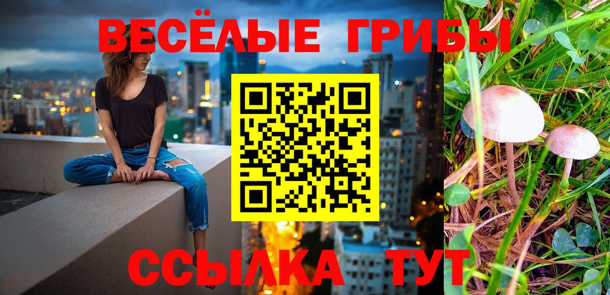 Псилоцибиновые грибы ЛСД Верхняя Салда