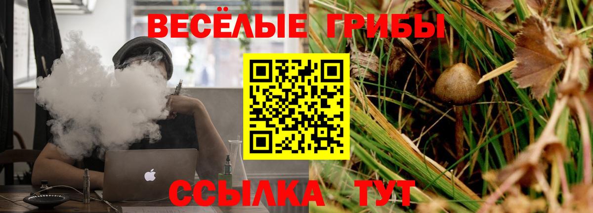 Верхняя Салда  Псилоцибиновые грибы Cubensis  Вход с VPN 
